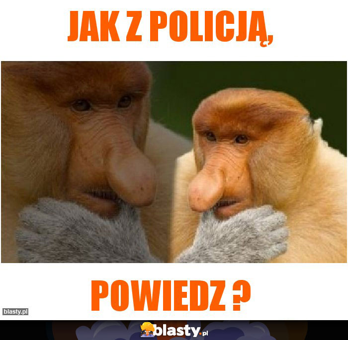 Jak z policją,