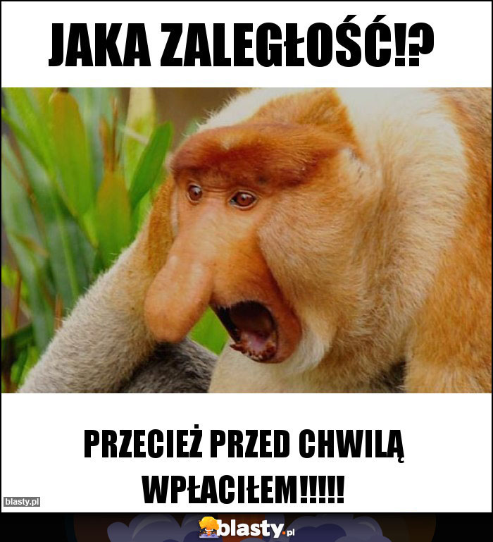 Jaka zaległość!?