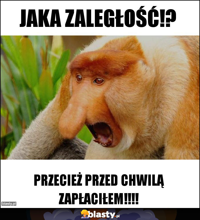 Jaka zaległość!?