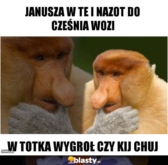 Janusza w te i nazot do cześnia wozi