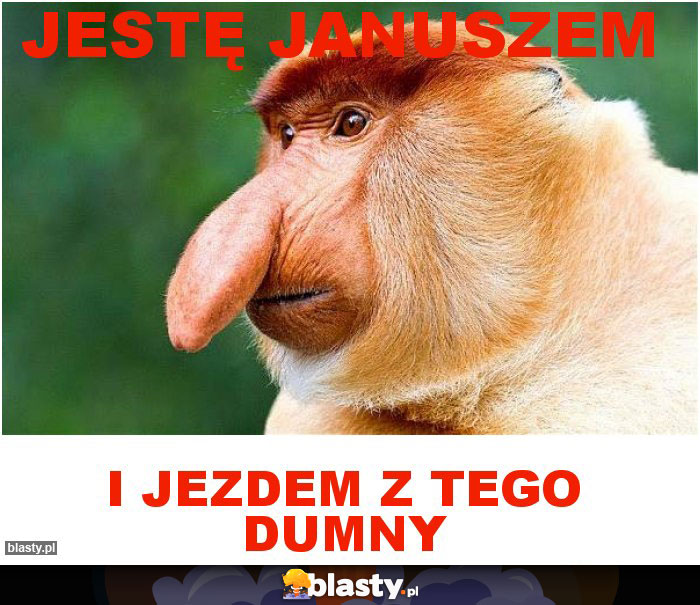 Jestę Januszem