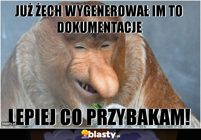 Już żech wygenerował im to dokumentacje