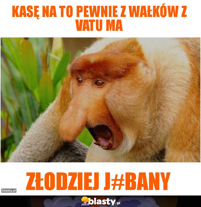 Kasę na to pewnie z wałków z Vatu ma