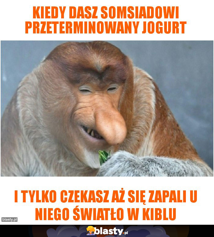 Kiedy dasz somsiadowi przeterminowany jogurt