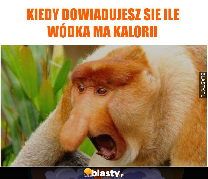 KIEDY DOWIADUJESZ SIE ILE WÓDKA MA KALORII