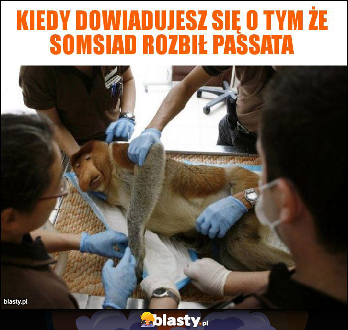 kiedy dowiadujesz się o tym że somsiad rozbił passata