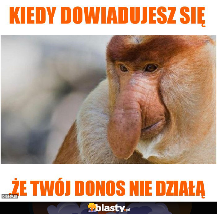 kiedy dowiadujesz się