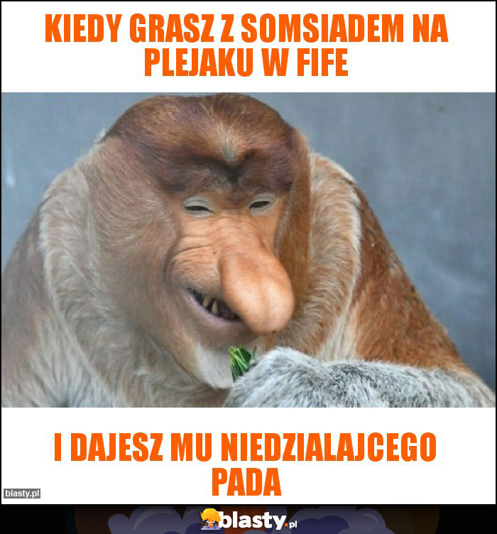 Kiedy grasz z somsiadem na plejaku w fife