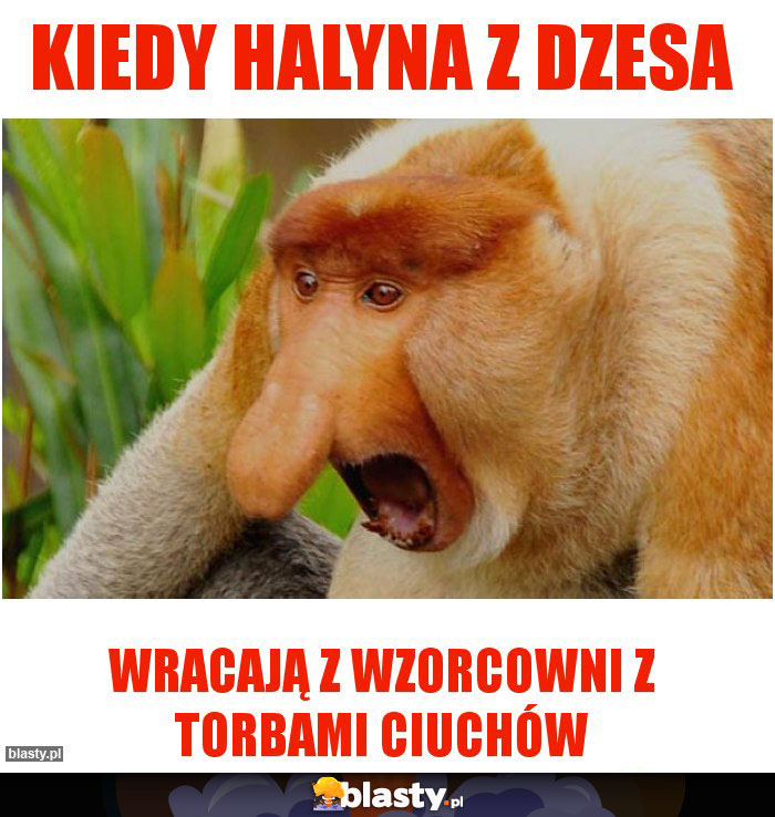 Kiedy Halyna z Dzesa