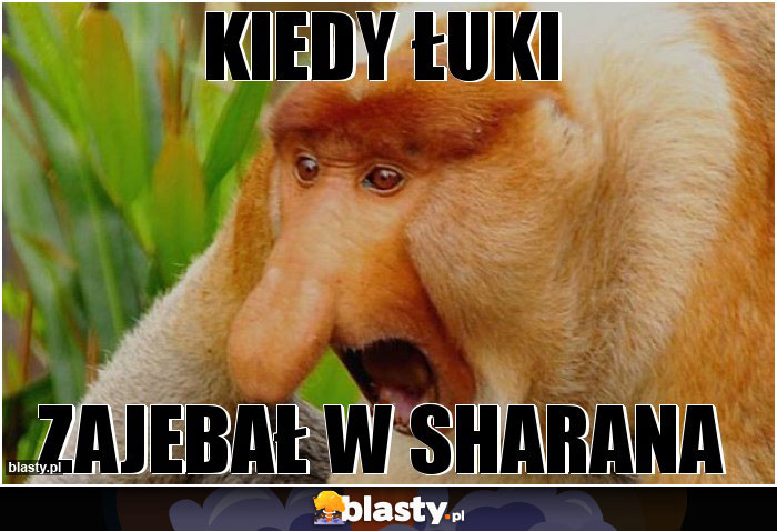 Kiedy Łuki