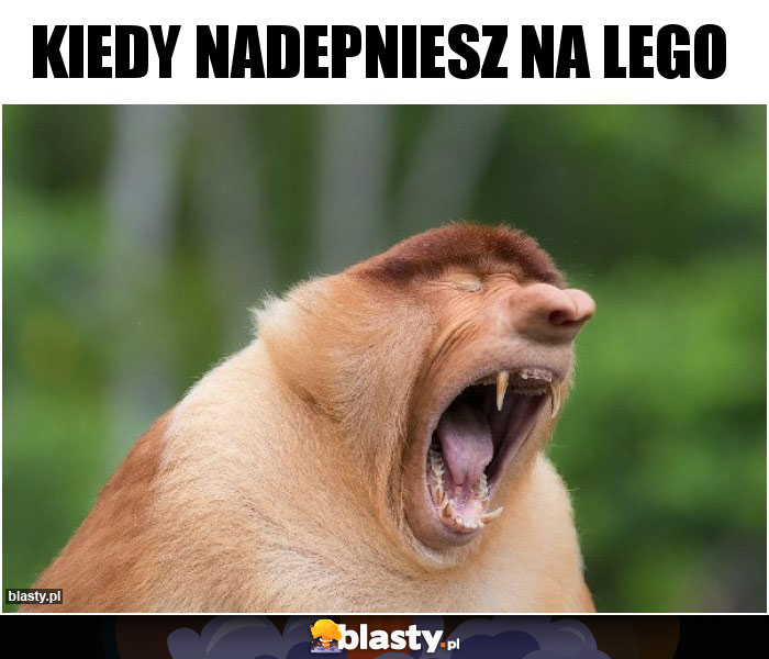 Kiedy nadepniesz na lego