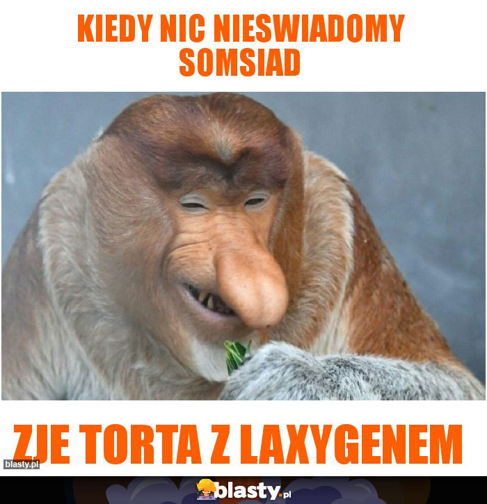 Kiedy nic nieswiadomy somsiad