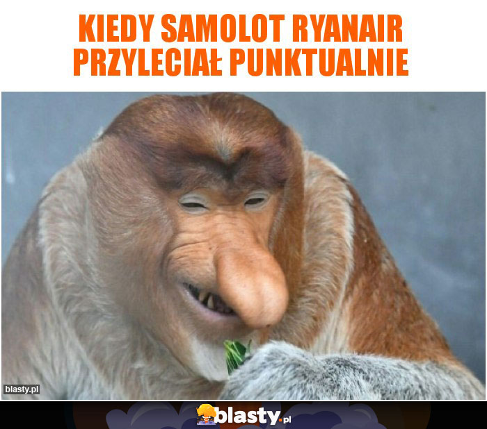 Kiedy samolot Ryanair przyleciał punktualnie