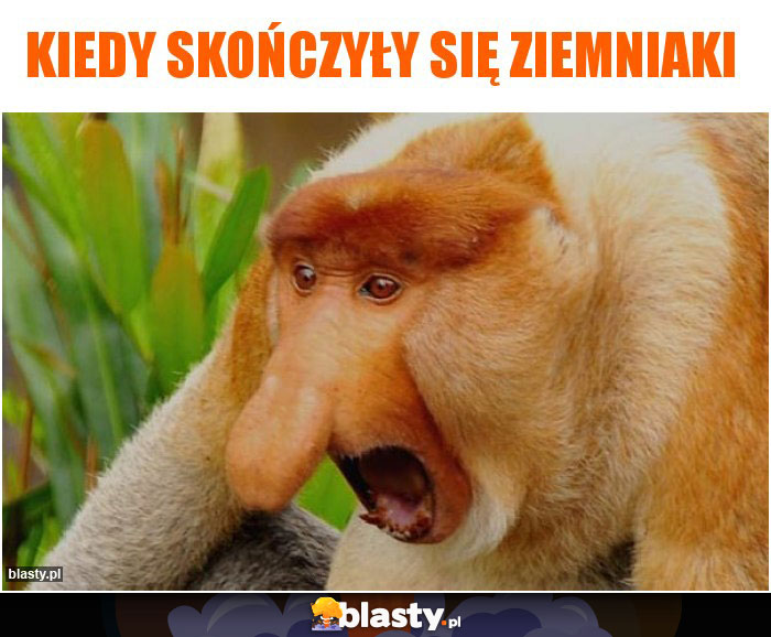 Kiedy skończyły się ziemniaki