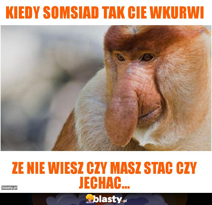 Kiedy somsiad tak Cie wkurwi