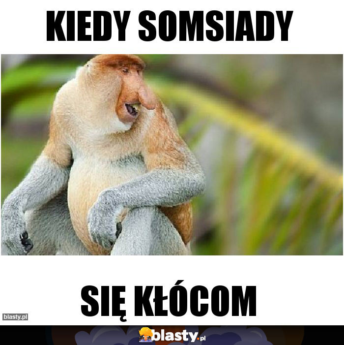 KIEDY SOMSIADY