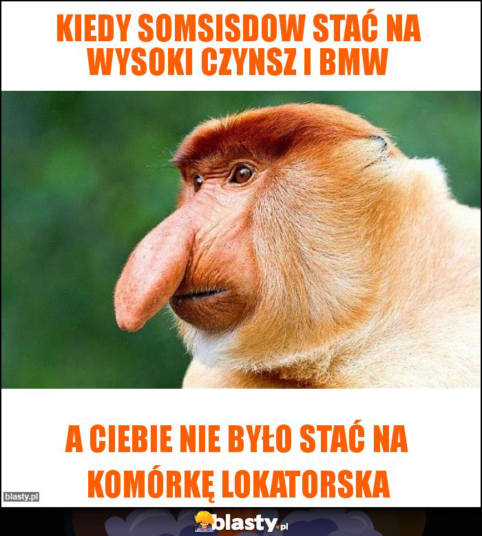 Kiedy somsisdow stać na wysoki czynsz i BMW