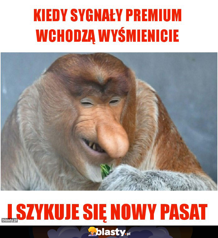 kiedy sygnały premium wchodzą wyśmienicie