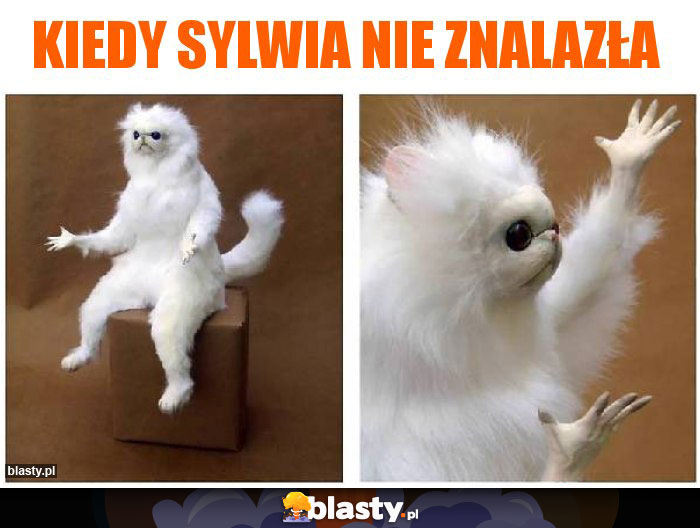 Kiedy Sylwia nie znalazła