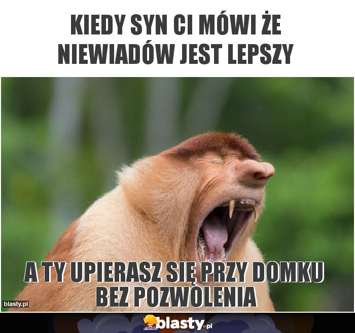 Kiedy syn Ci mówi że niewiadów jest lepszy