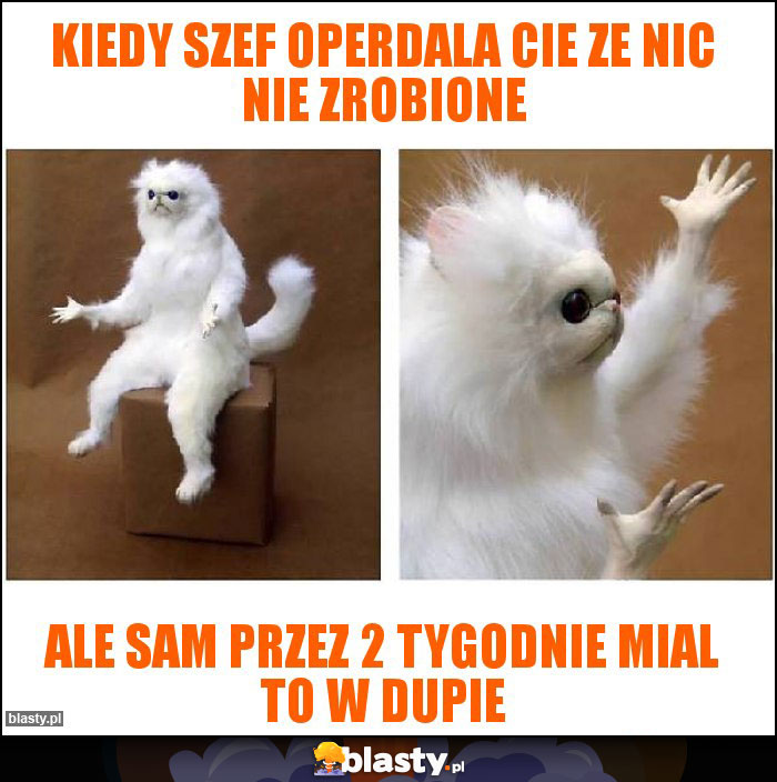 Kiedy szef operdala cie ze nic nie zrobione