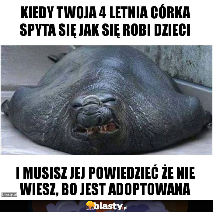 Kiedy twoja 4 letnia córka Spyta się jak się robi dzieci