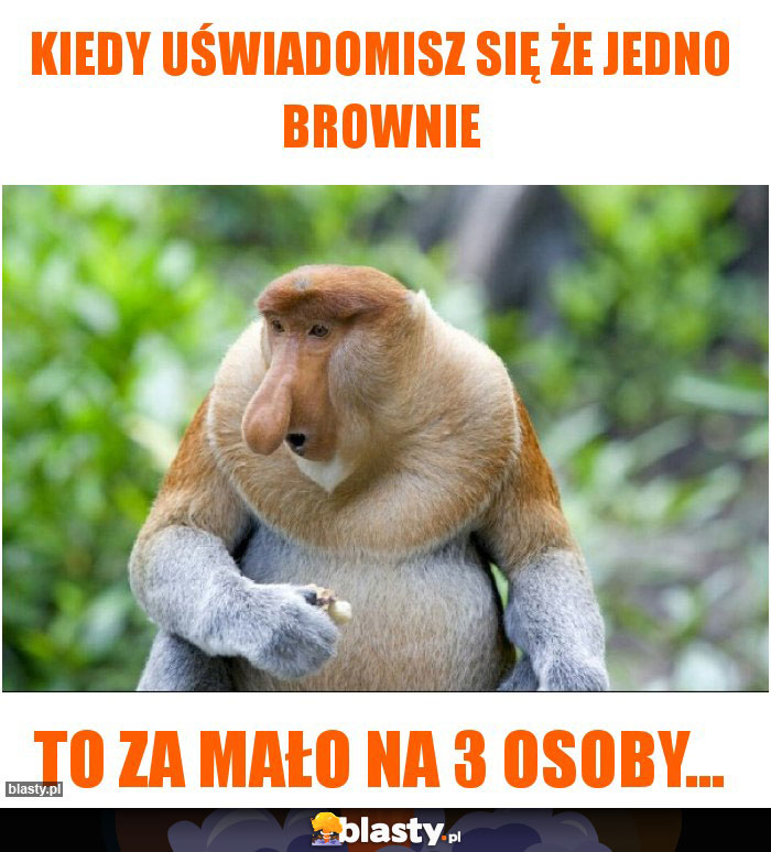 kiedy uświadomisz się że jedno brownie