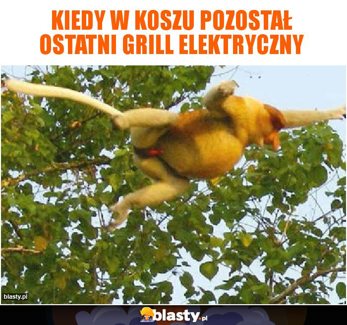 kiedy w koszu pozostał ostatni grill elektryczny