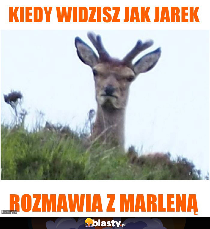 Kiedy Widzisz Jak Jarek Memy, Gify I Śmieszne Obrazki Facebook, Tapety