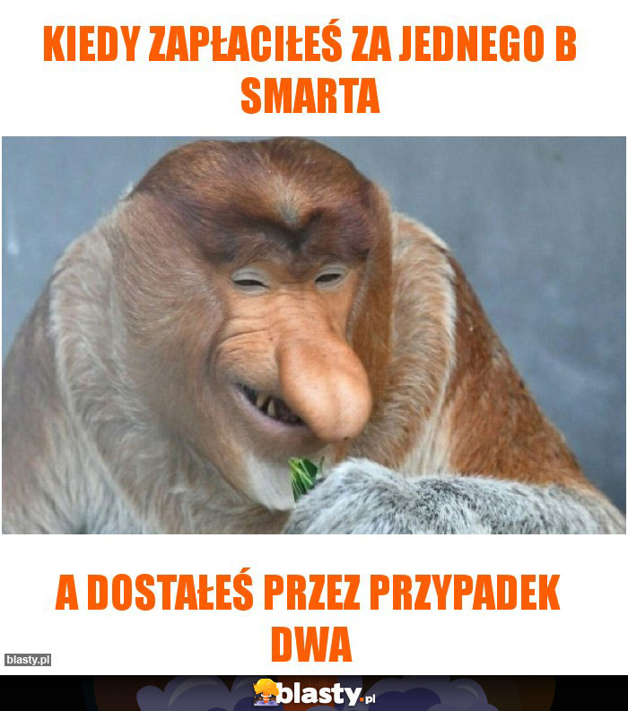 Kiedy zapłaciłeś za jednego b smarta