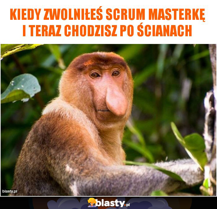 Kiedy zwolniłeś Scrum Masterkę i teraz chodzisz po ścianach