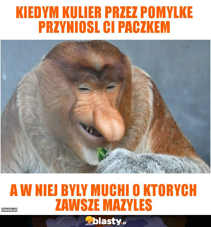 Kiedym kulier przez pomylke przyniosl ci paczkem