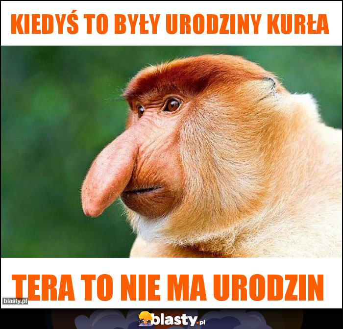 kiedyś to były urodziny kurła