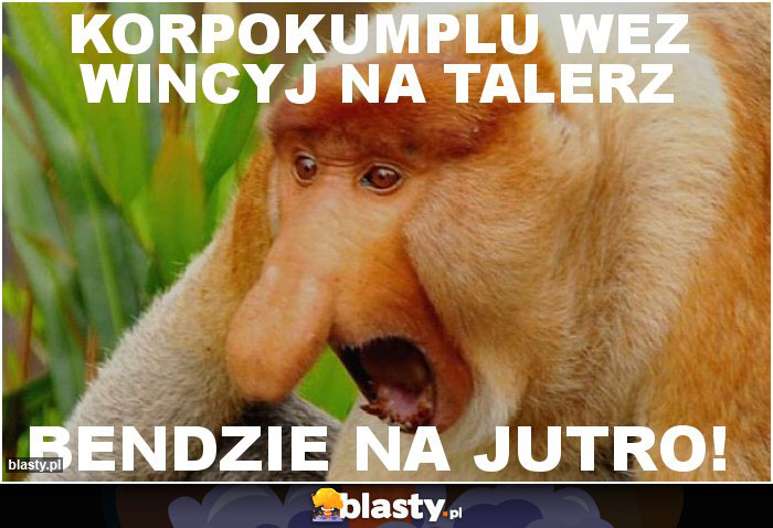 korpokumplu wez wincyj na talerz