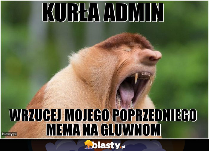 KURŁA ADMIN