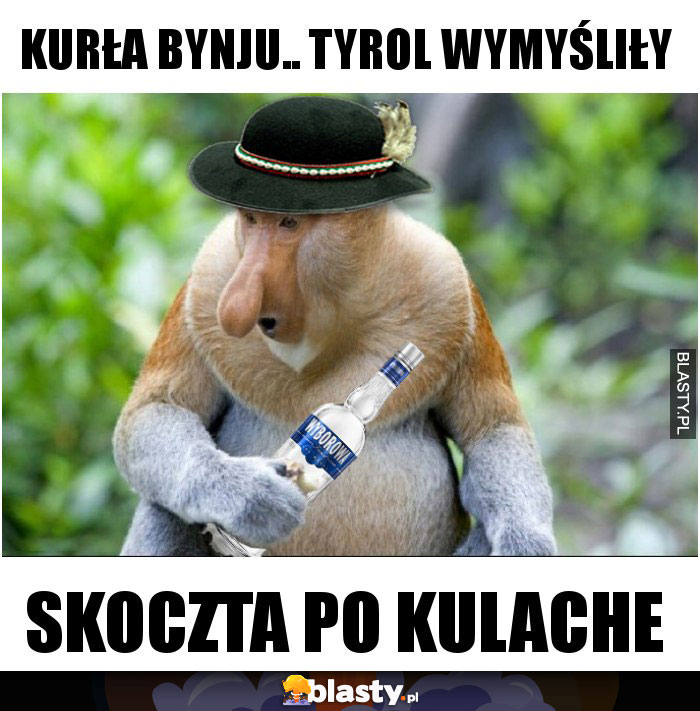 KURŁA BYNJU.. TYROL WYMYŚLIŁY