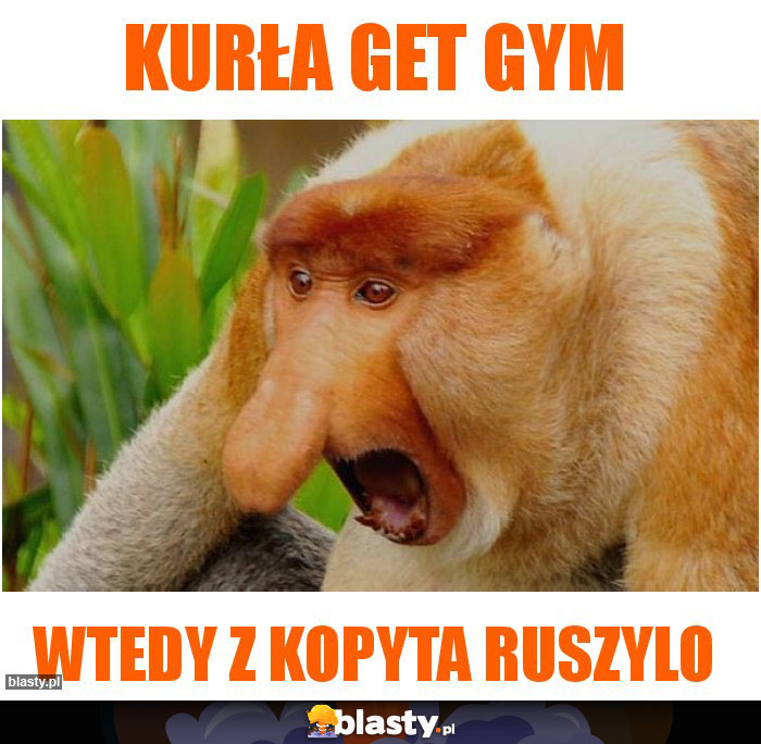 kurła get gym