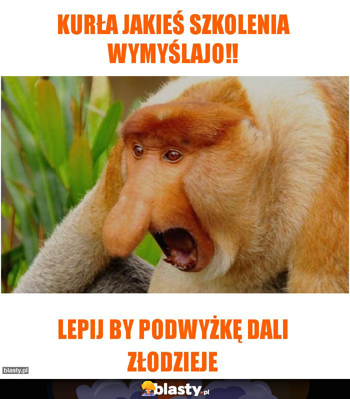 Kurła jakieś szkolenia wymyślajo!!