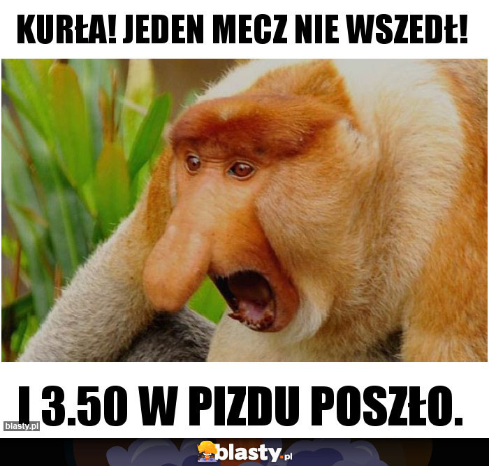 Kurła! Jeden mecz nie wszedł!