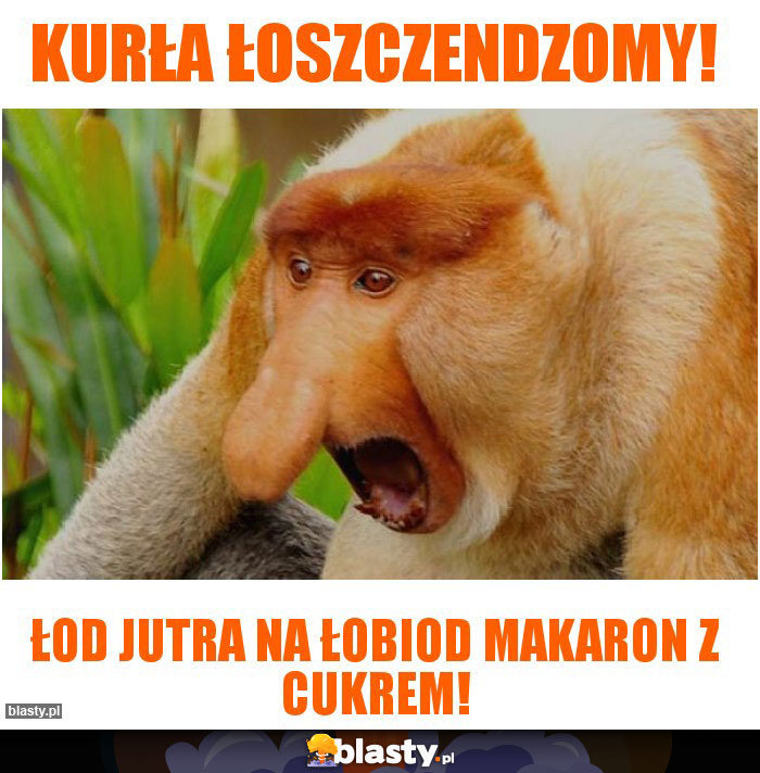 kurła łoszczendzomy!