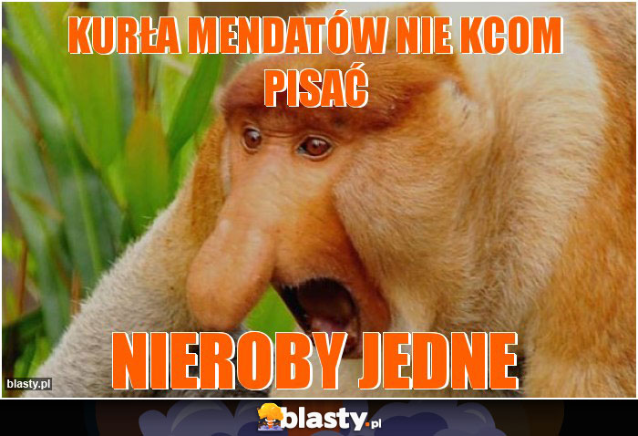 Kurła mendatów nie kcom pisać