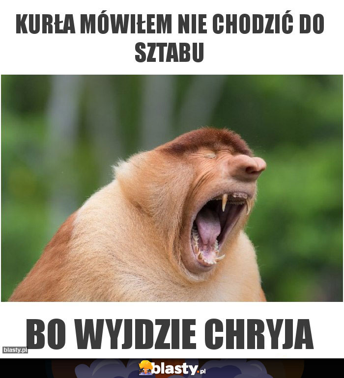 Kurła mówiłem nie chodzić do sztabu