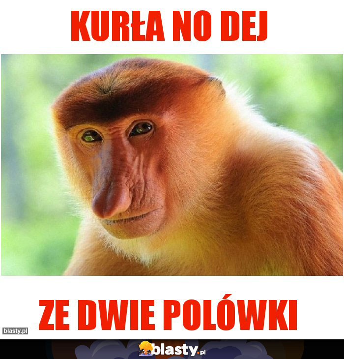 KURŁA NO DEJ