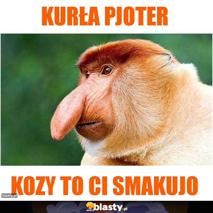 Kurła Pjoter