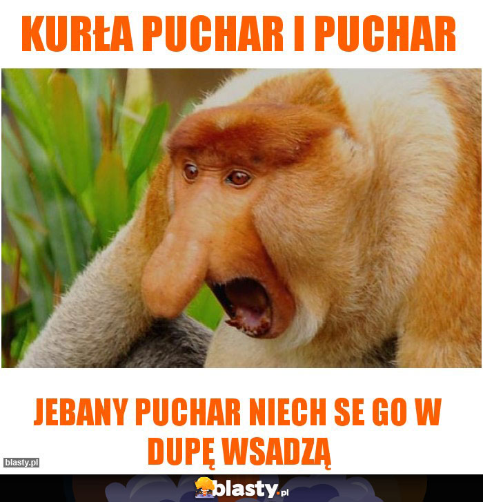 Kurła puchar i puchar