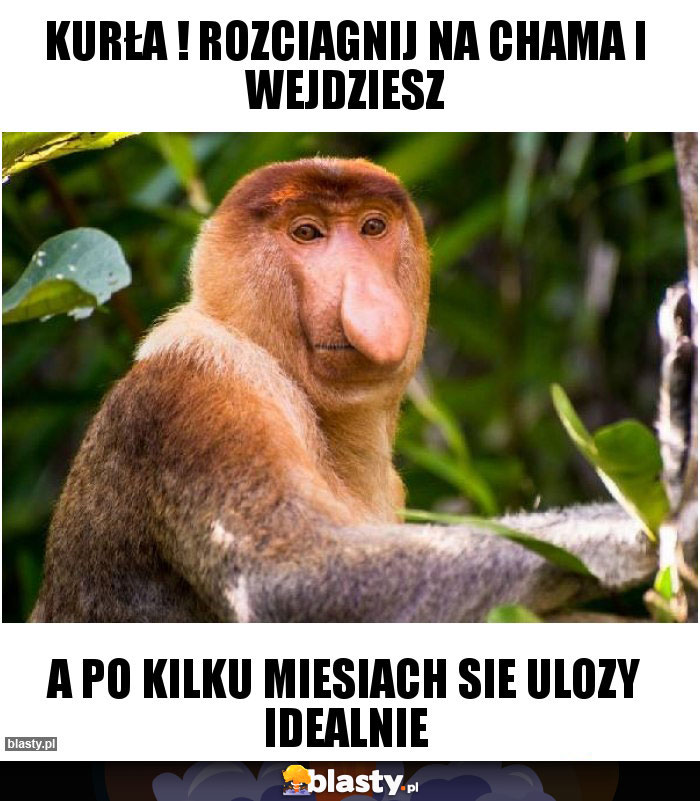 KURŁA ! rozciagnij na chama i wejdziesz