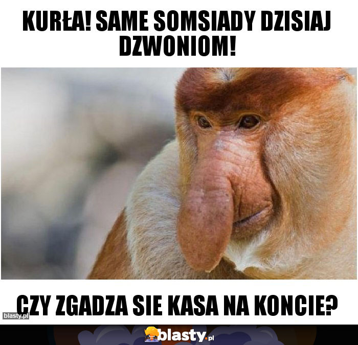 Kurła! Same somsiady dzisiaj dzwoniom!