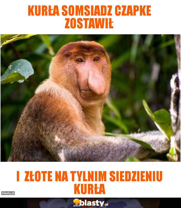 Kurła somsiadz czapke zostawił