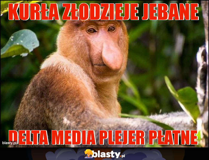 Kurła złodzieje jebane