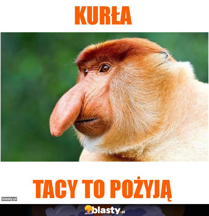 Kurła